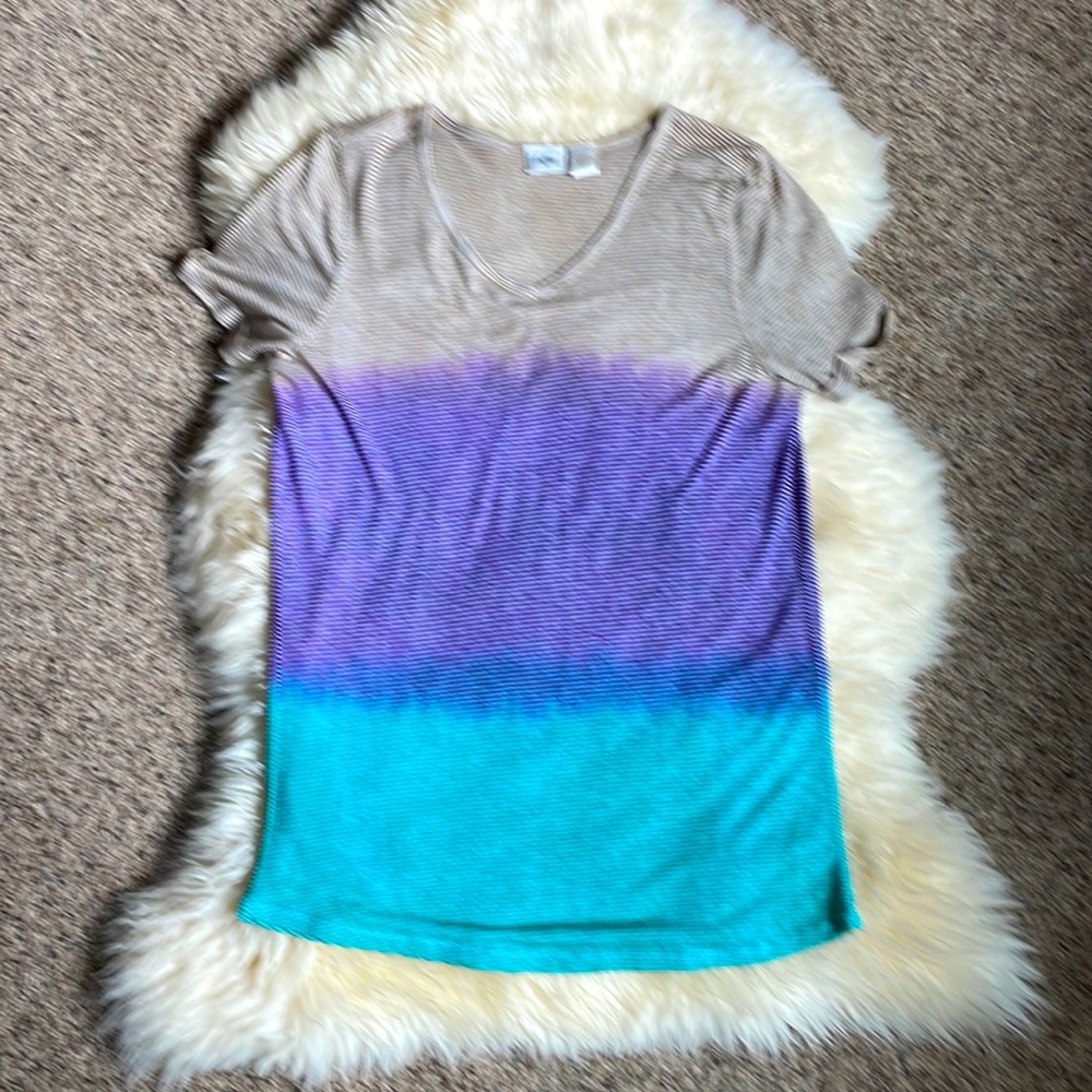 💫3 for $12💫 Daytrip Ombré Sheer Tee- Small